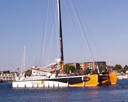 Orange II