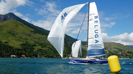 beluga-racer-1