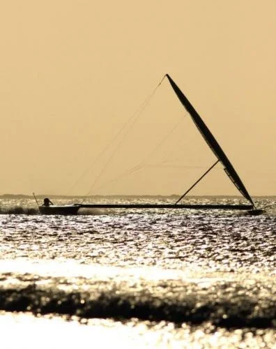paul-larsen-on-sailrocket-by