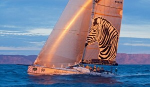 INVESTEC LOYAL (Photo by Daniel Forster)