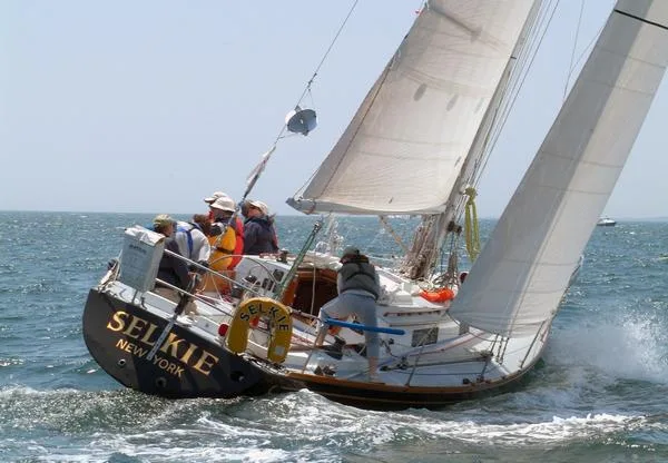 Selkie In 2008 Bermuda Race by Talbot Wilson Sheila McCurdy's family boat Selkie powers upwind at the start of the 2008 Newport Bermuda Races. Selkie will see her 10th Newport Bermuda Race in 2012. McCurdy has been aboard on all the races, 3 as navigator for her father Jim McCurdy, the boat's designer and 6 as both skipper and navigator. In 2008 Selkie finishes 2nd in class and 2nd in the St. David's Lighthouse Division. (Photo by Talbot Wilson)