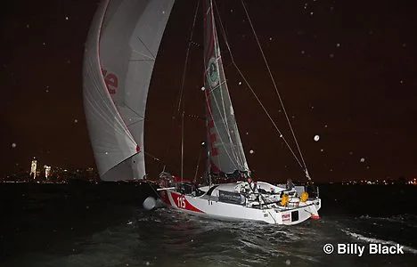 Mare in NYC by Billy Black Mare in New York Harbor (Photo by Billy Black)