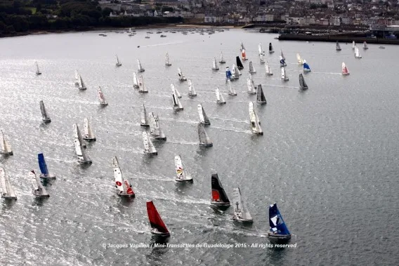 mini transat fleet